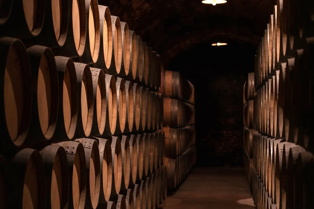 Oak barrels aging in a dim cellar