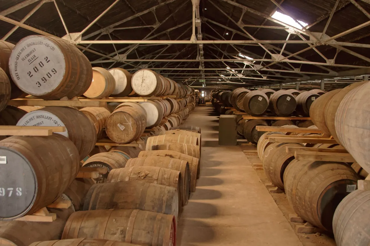 Rows of oak barrels aging