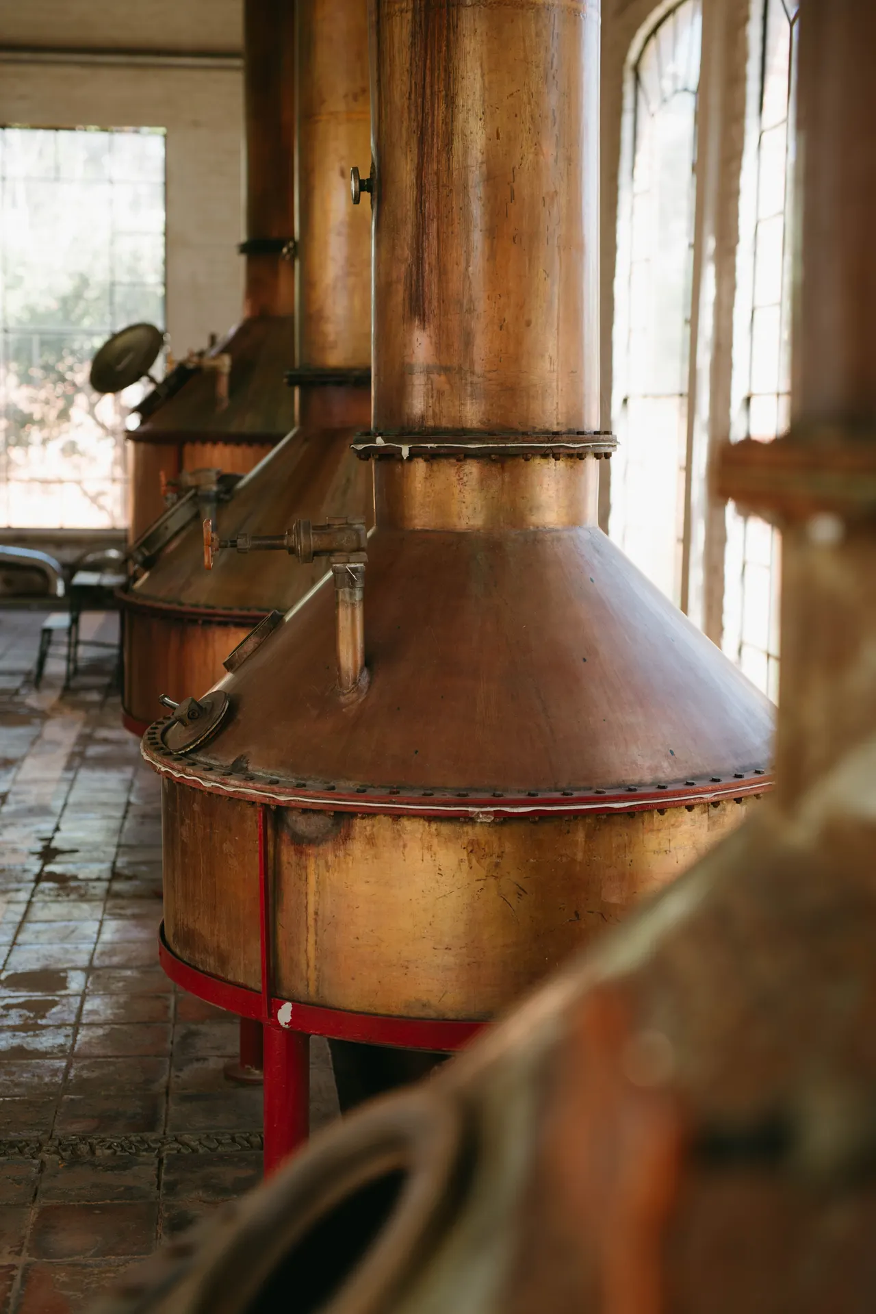 Copper pot stills lined up beside tall windows